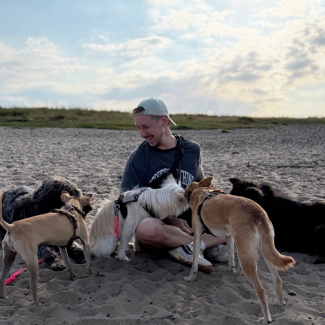 Patrick Gruben sitzt am Strand, umringt von mehreren Hunden