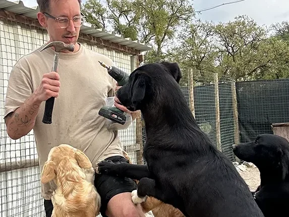 Pfötchenfarm: 400 Hunde und ich
