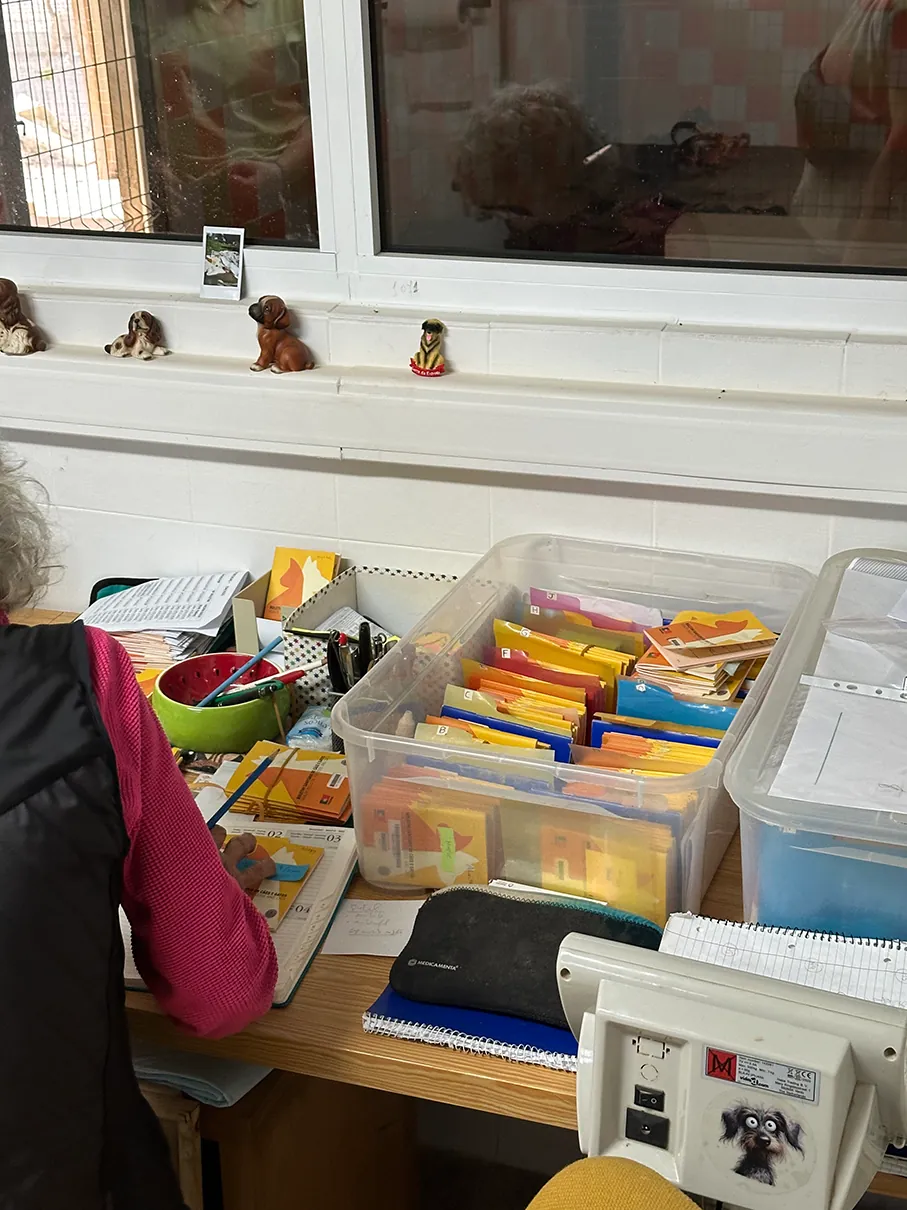 Durchsichtige Boxen voller bunter EU-Heimtierausweise stapeln sich alphabetisch sortiert auf einem Schreibtisch
