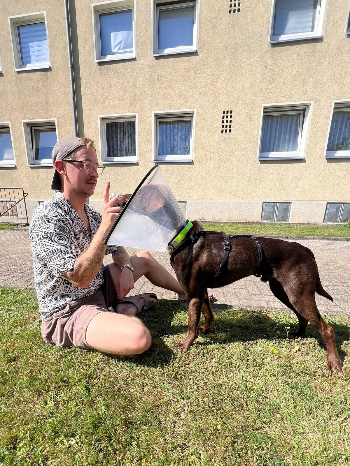 Patrick sitzt auf einer Wiese und versorgt den braunen Hund Woody, der eine durchsichtige Halskrause trägt